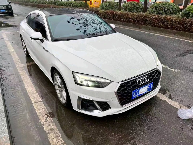 衡陽21年奧迪A52