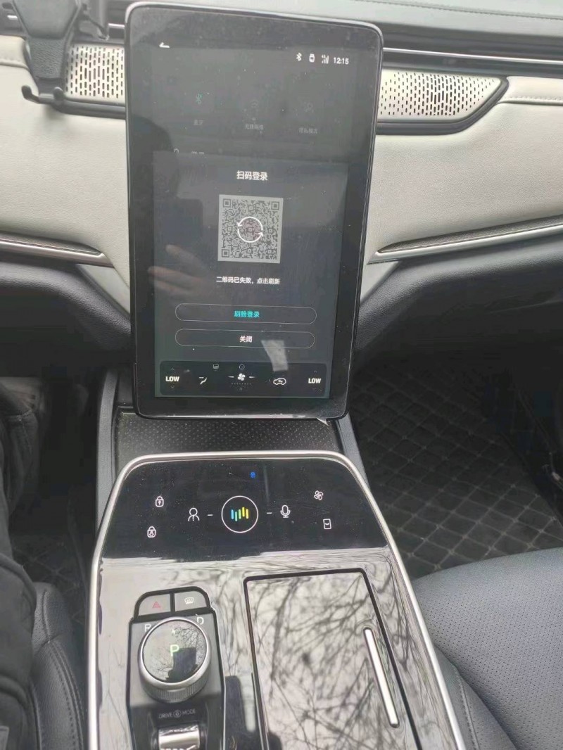 宜昌21年威马汽车EX-53