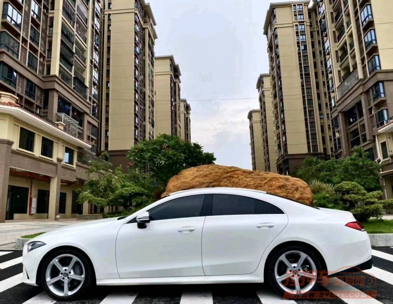 广州19年奔驰CLS4