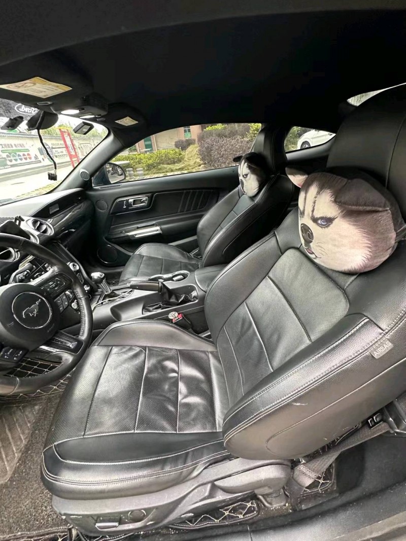 广州15年福特野马6