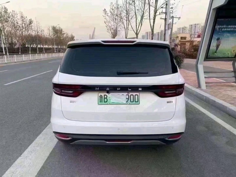 济南21年吉利枫叶1