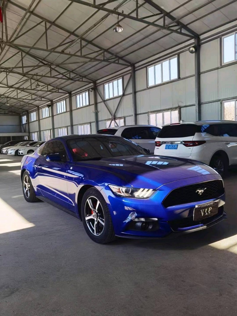 保定16年福特野马2