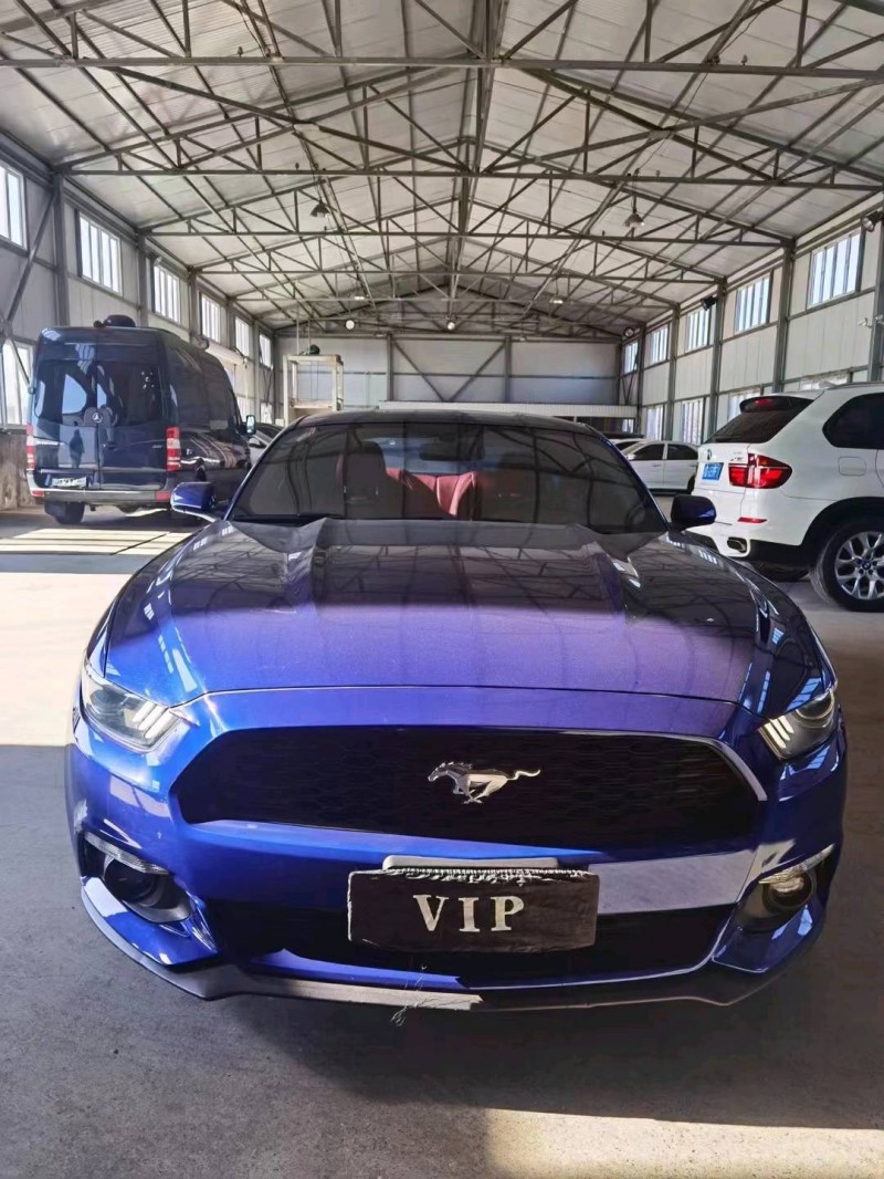 保定16年福特野马1