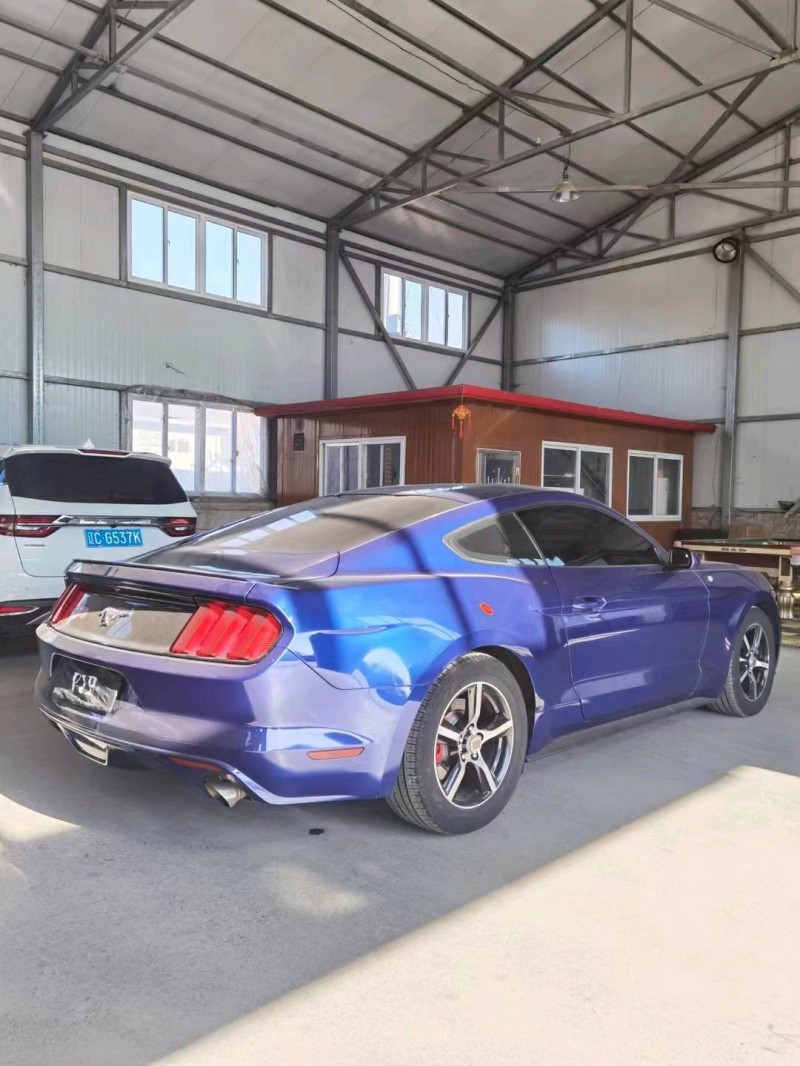 保定16年福特野马5