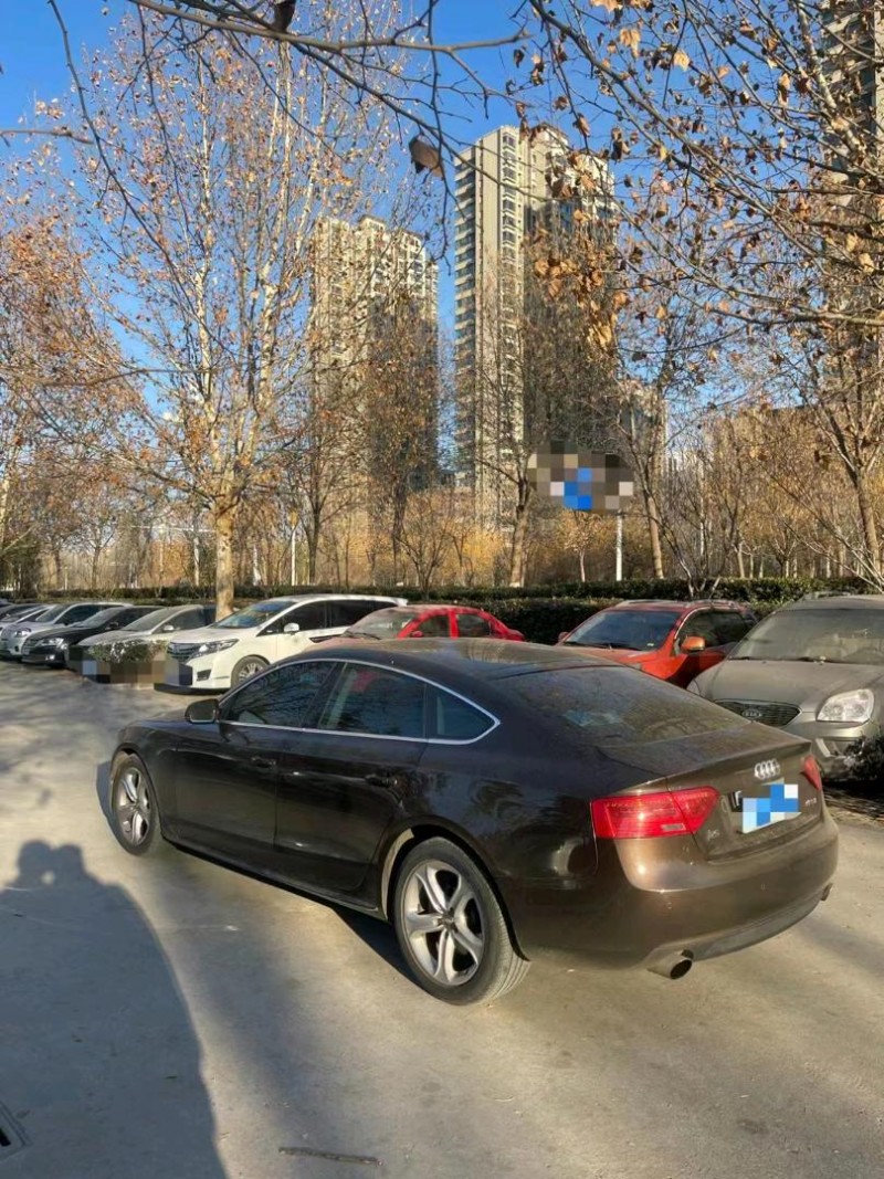 东营14年奥迪Q52