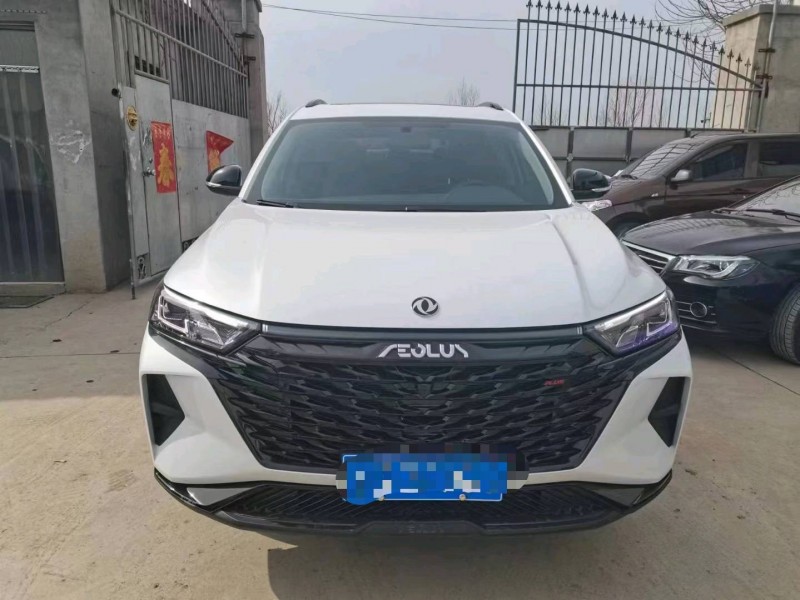 保定22年东风风神1