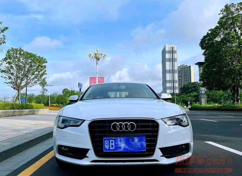 广州16年奥迪A51