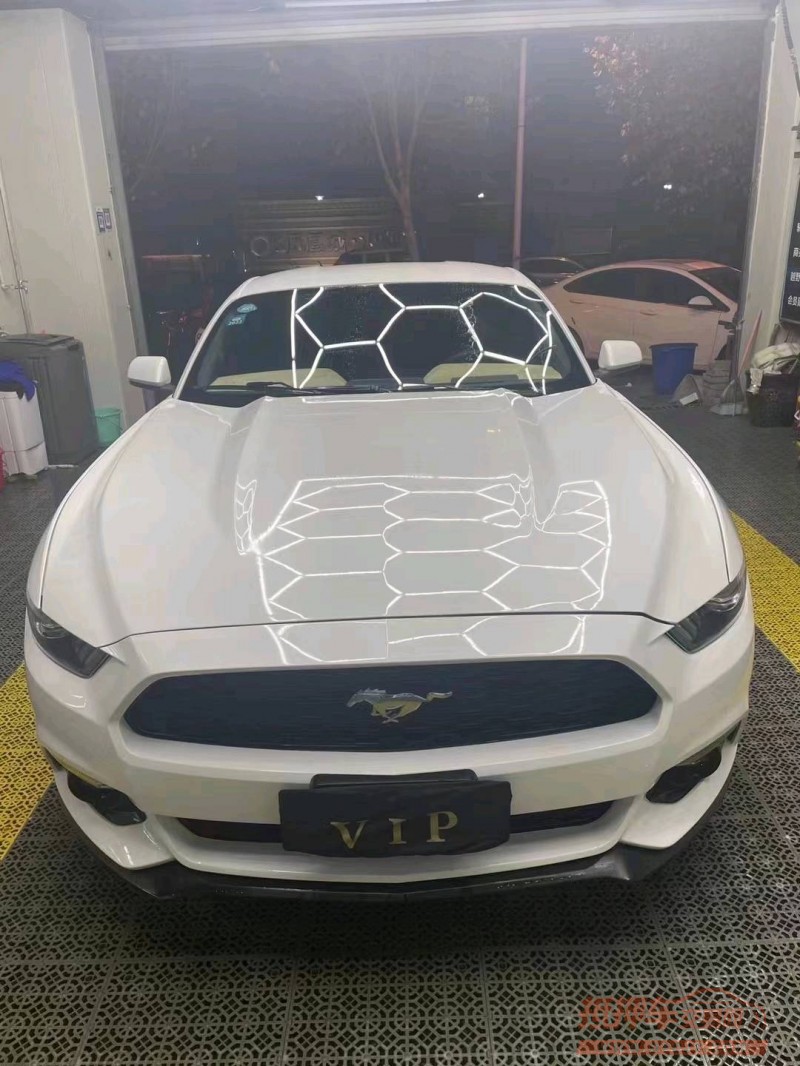 邯郸16年福特野马9