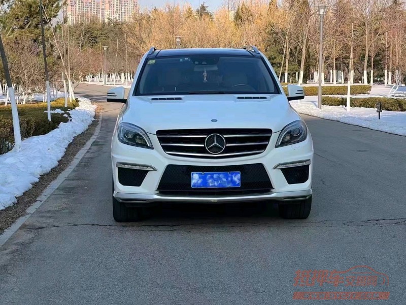 枣庄12年奔驰ML1