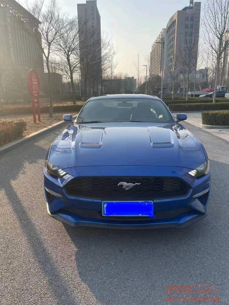 枣庄18年福特野马6