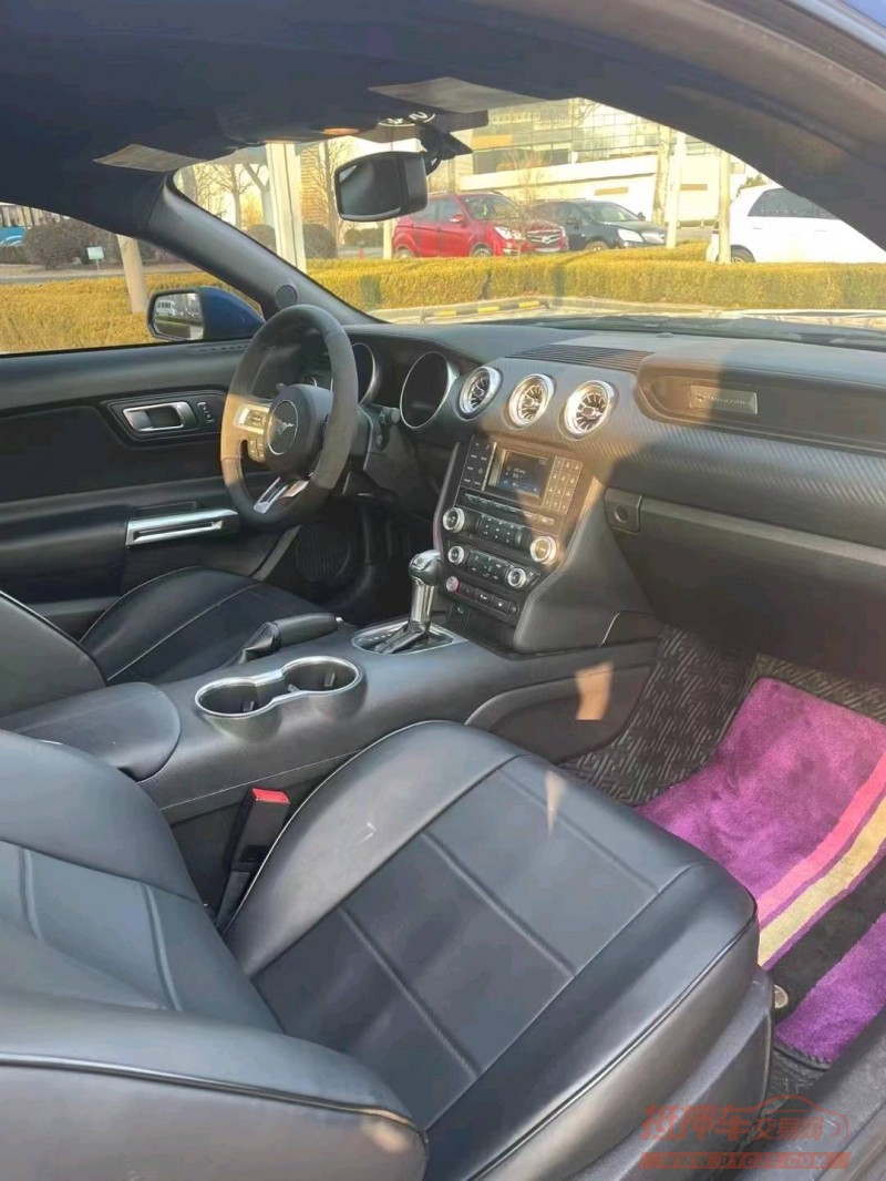 枣庄18年福特野马2