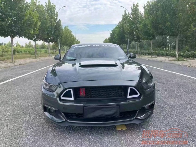 廊坊16年福特野马1