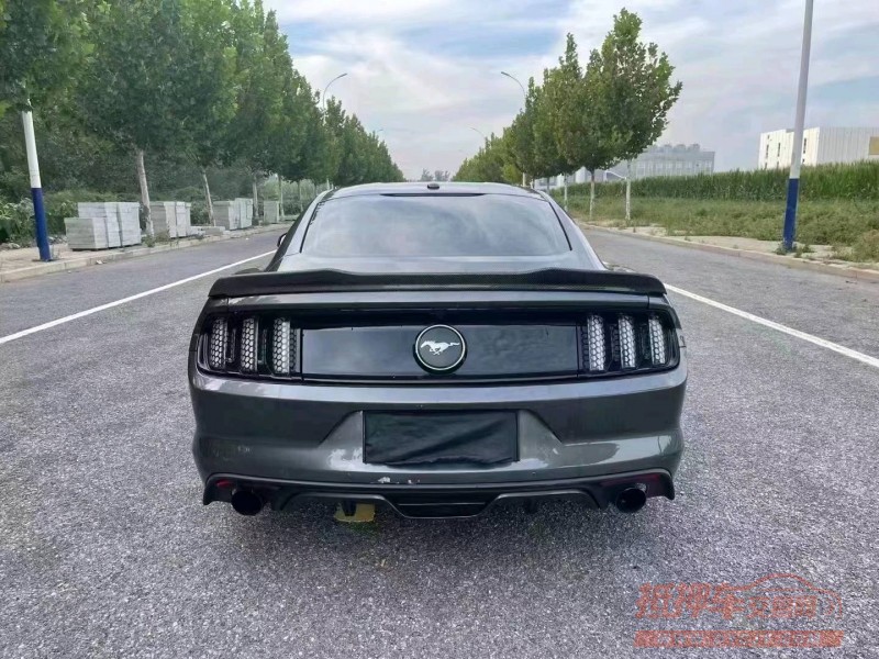 廊坊16年福特野马9