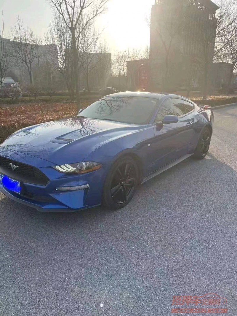 枣庄18年福特野马3