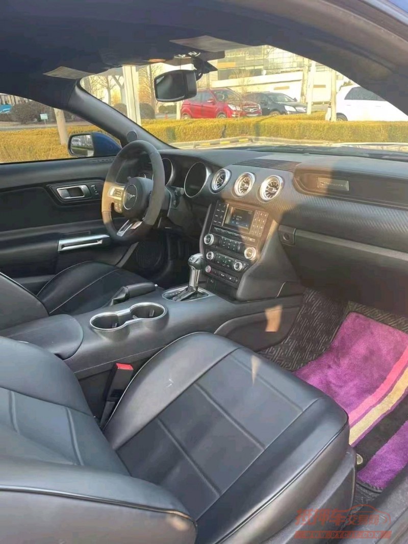 枣庄18年福特野马2