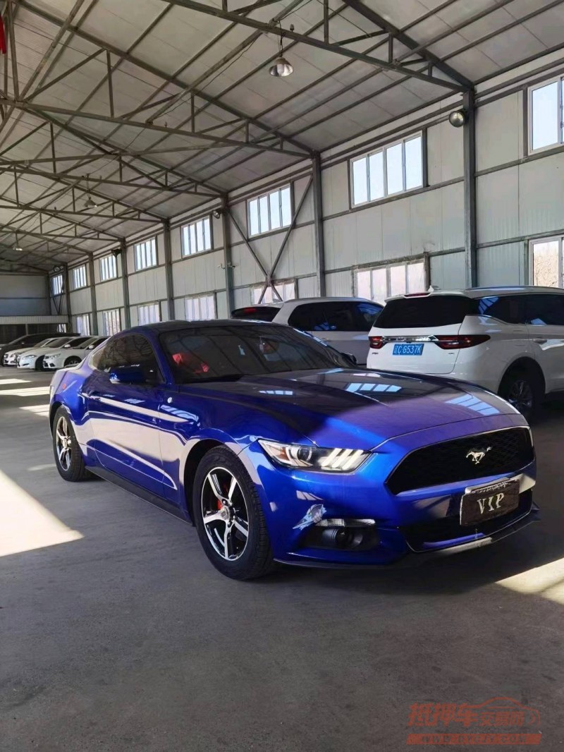 邯郸16年福特野马8