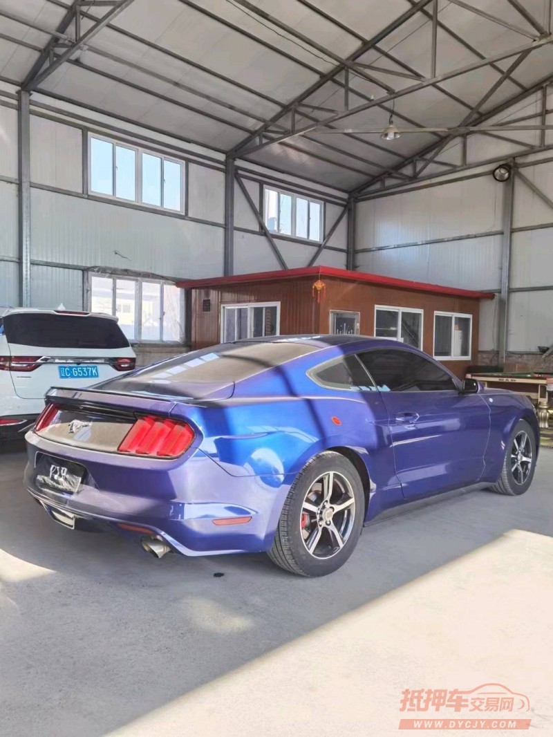 邯郸16年福特野马7