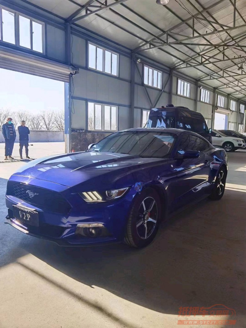 邯郸16年福特野马5