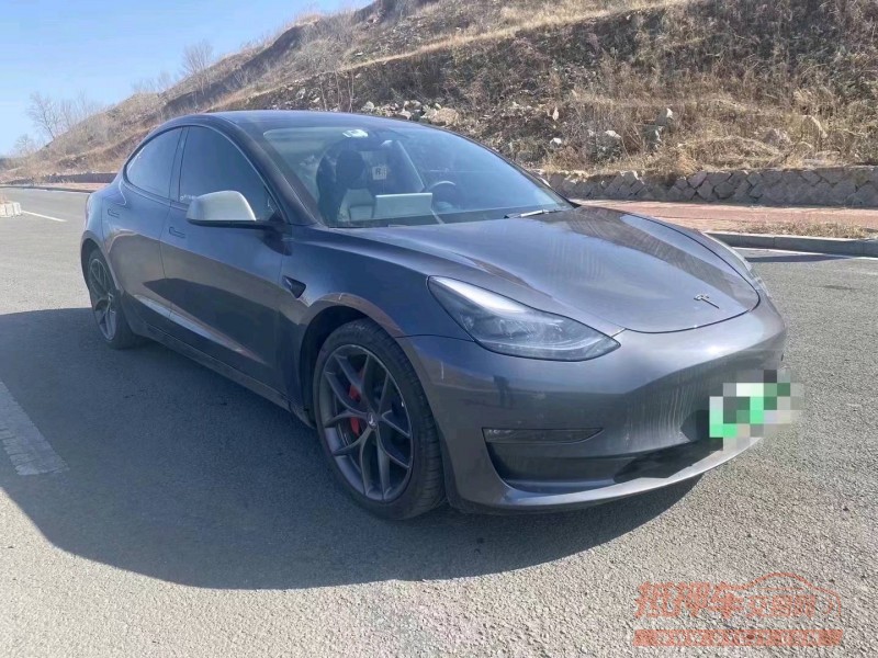 棗莊21年特斯拉MODEL 33