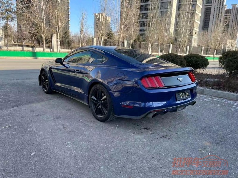 沈阳16年福特野马3