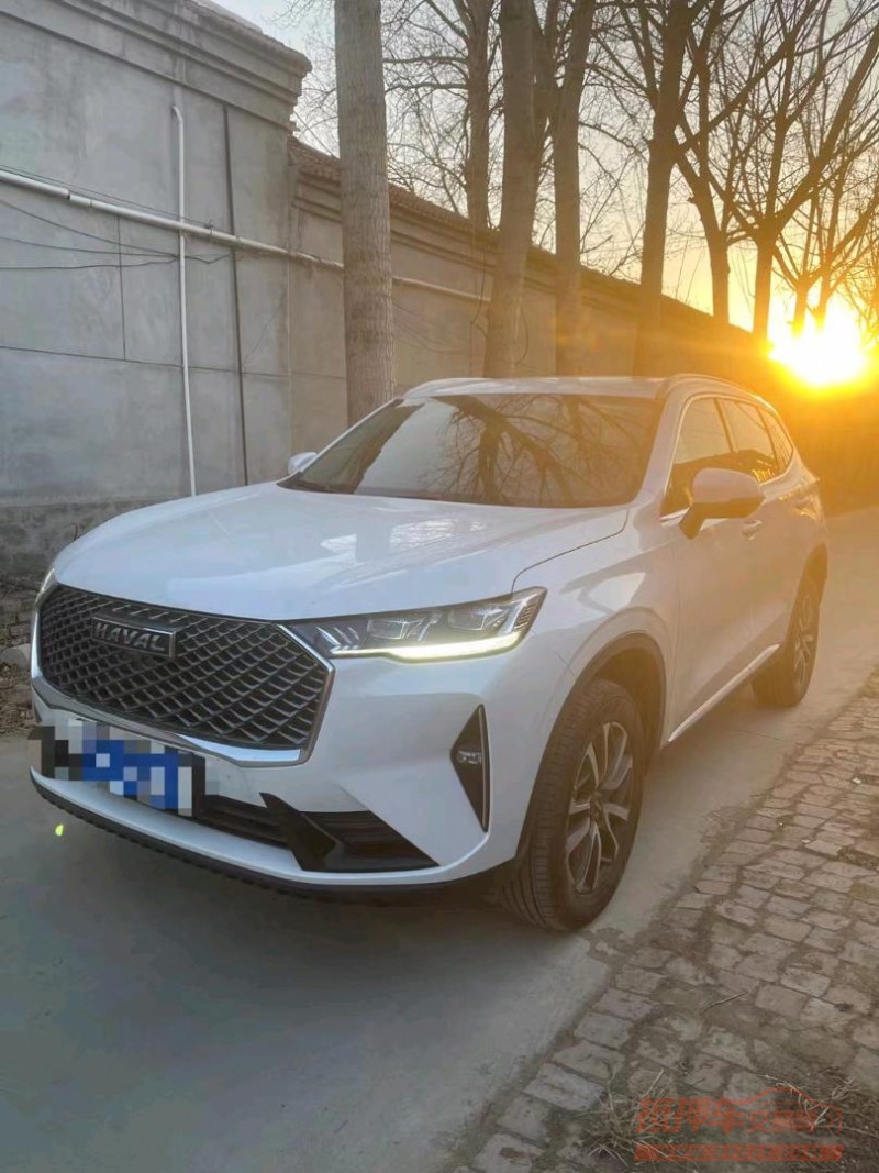 廊坊22年哈弗H66