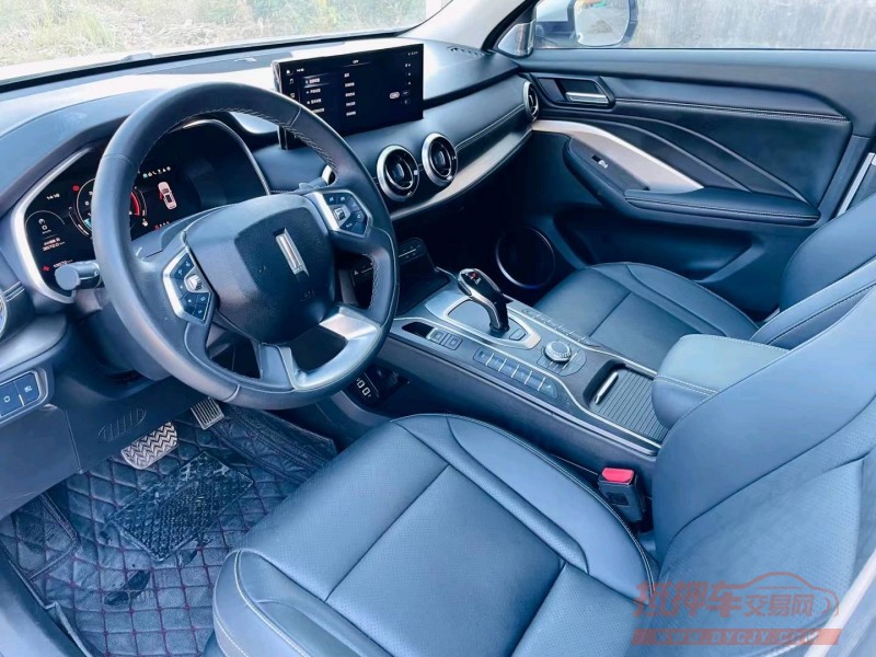 徐州19年长城汽车WEY VV66