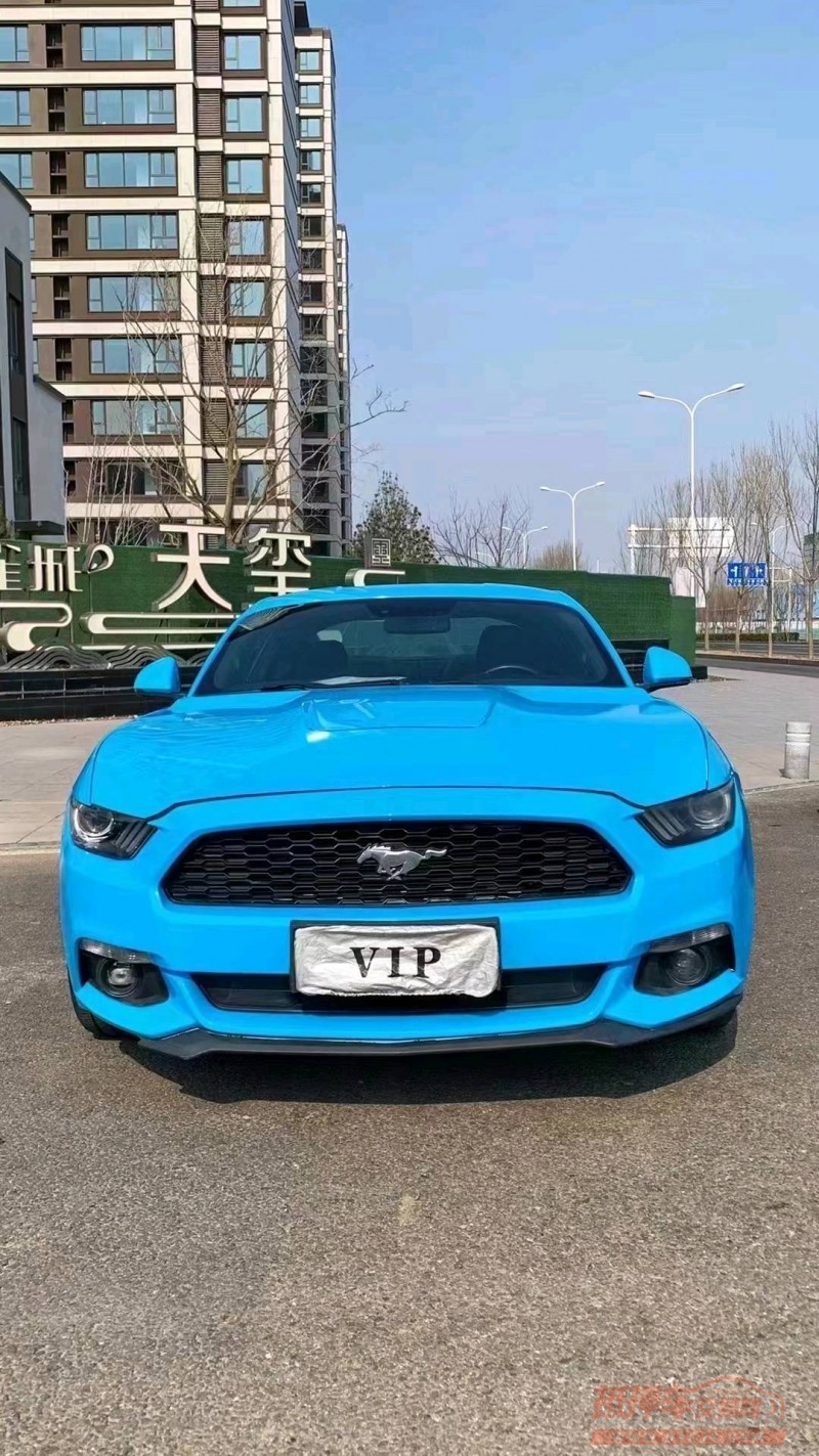 廊坊16年福特野马1