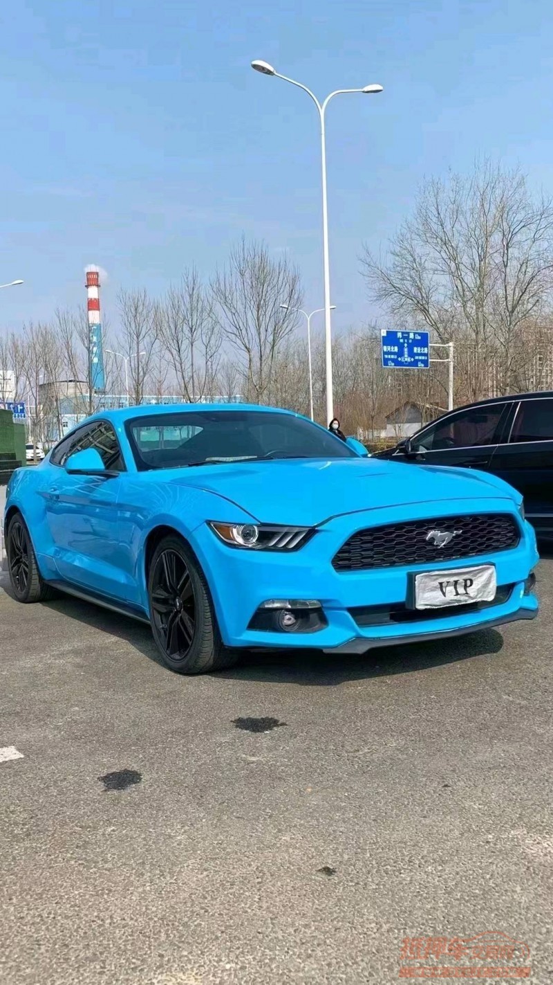 廊坊16年福特野马3