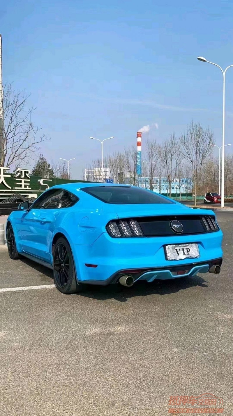 廊坊16年福特野马8