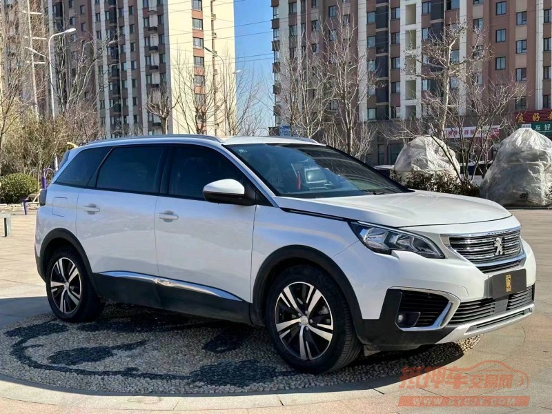 枣庄20年标致50083