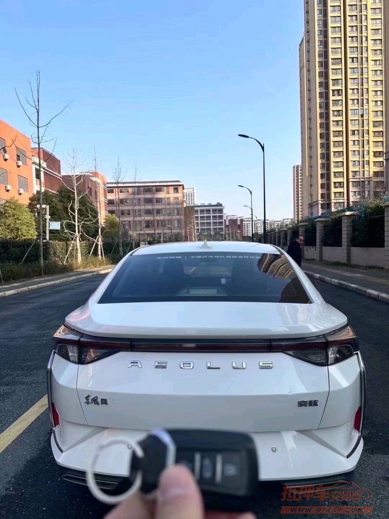 淮南19年东风奕炫9