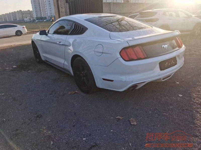 石家庄16年福特野马8