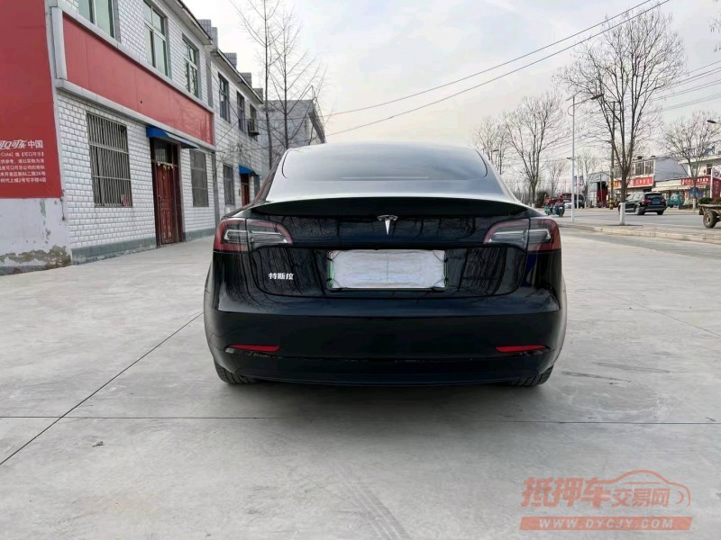 徐州21年特斯拉MODEL 39