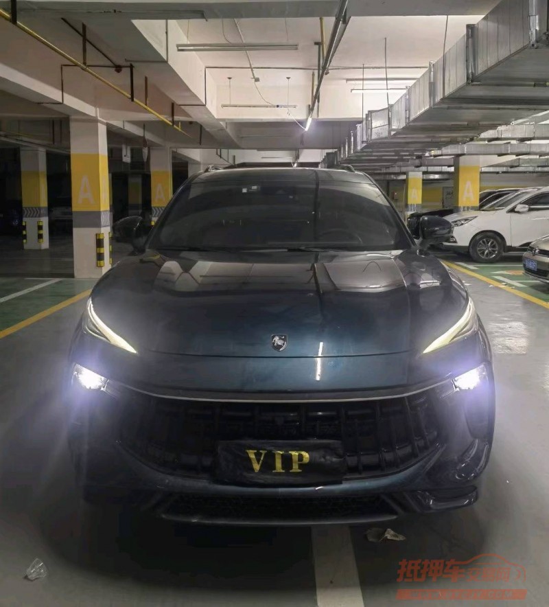 武汉21年东风T51