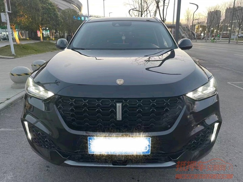 武汉19年长城汽车WEY VV61