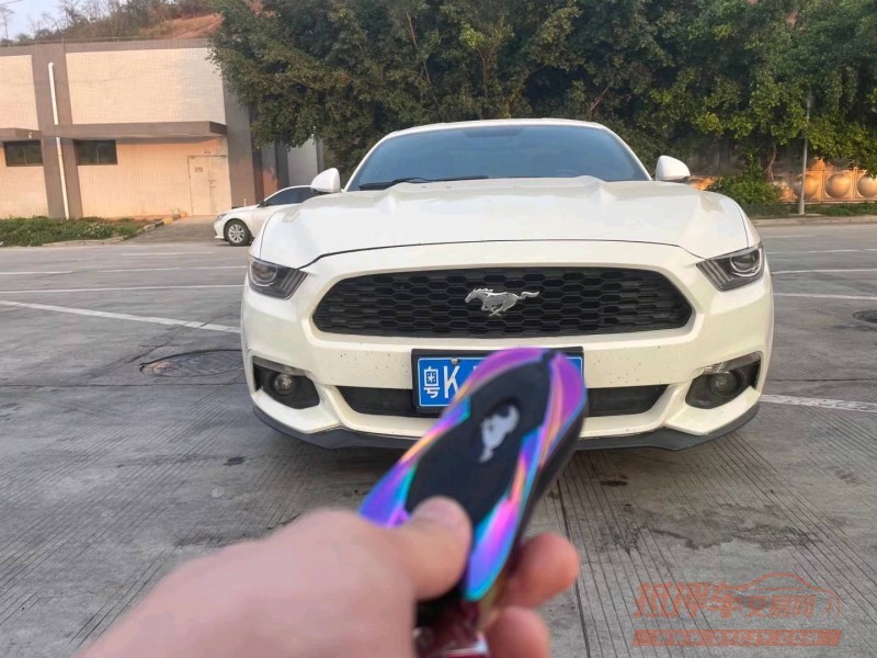 广州15年福特野马1