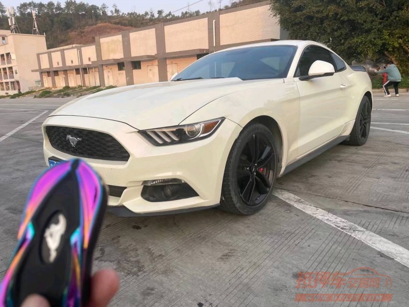 广州15年福特野马2