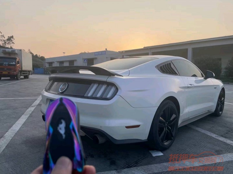 广州15年福特野马5