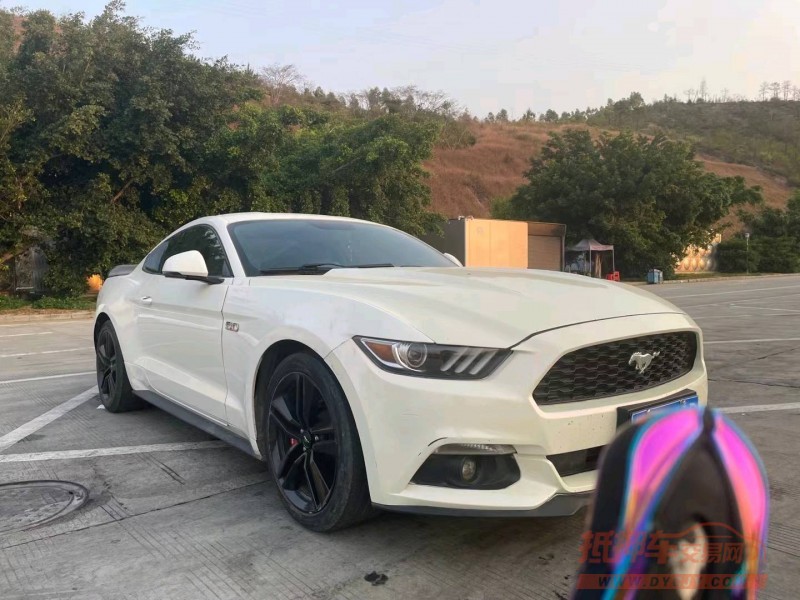 广州15年福特野马7