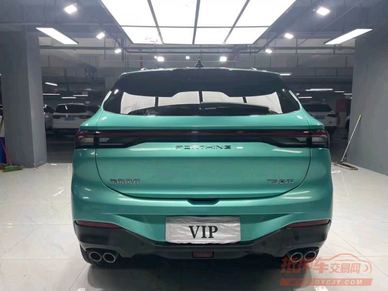 成都21年东风T59