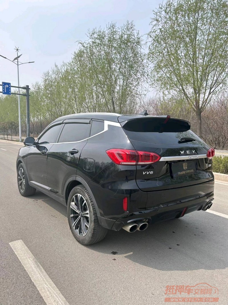 枣庄20年长城汽车WEY VV64