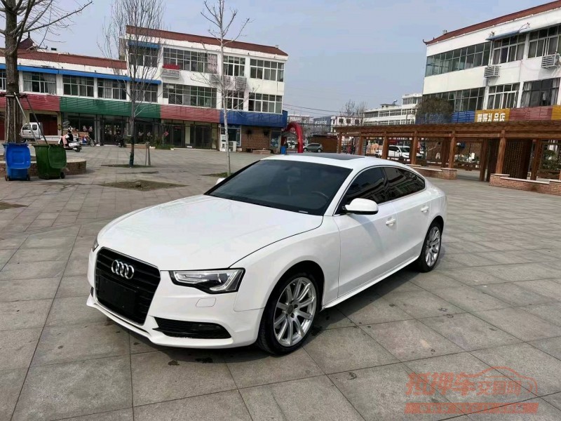 徐州13年奥迪A52
