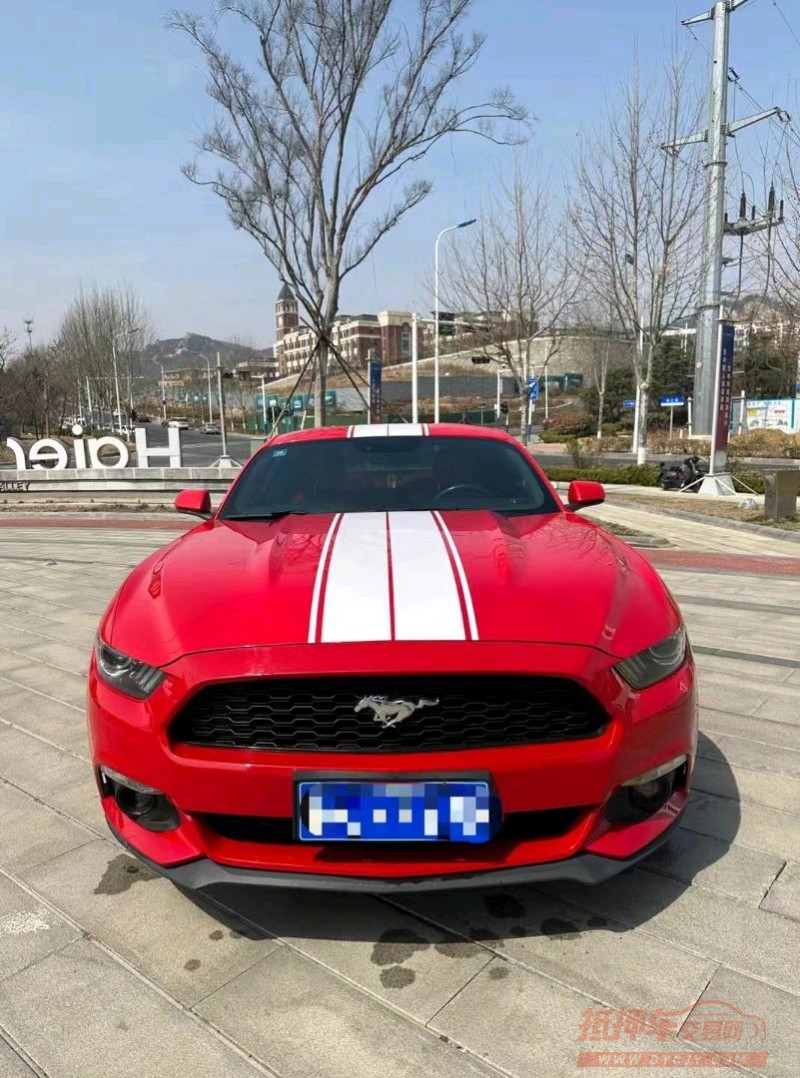 枣庄16年福特野马1