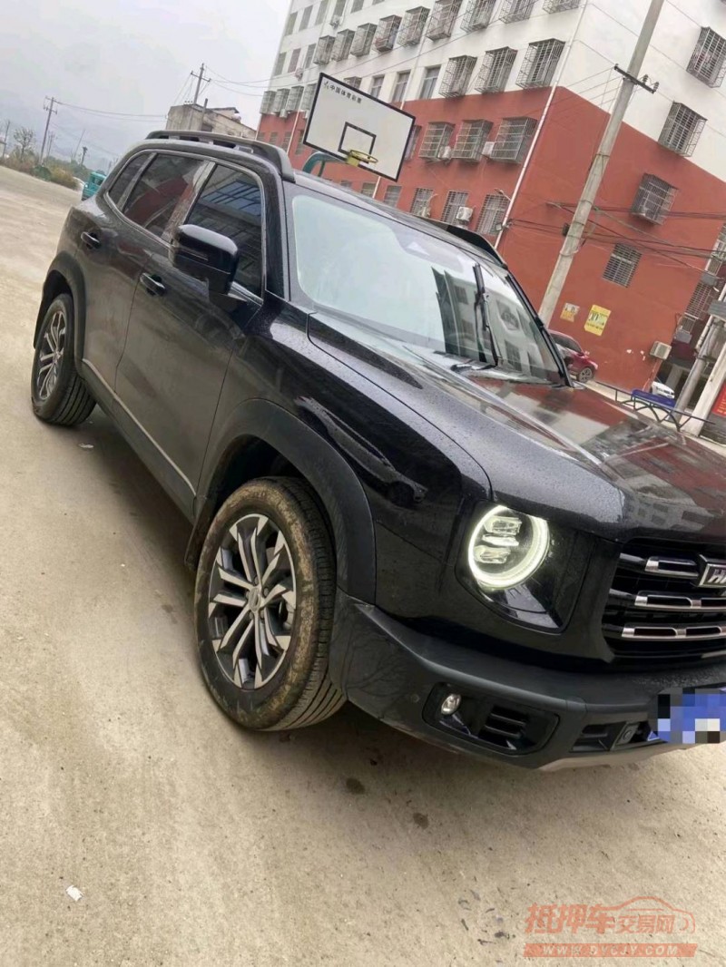 宜昌20年哈弗大狗2