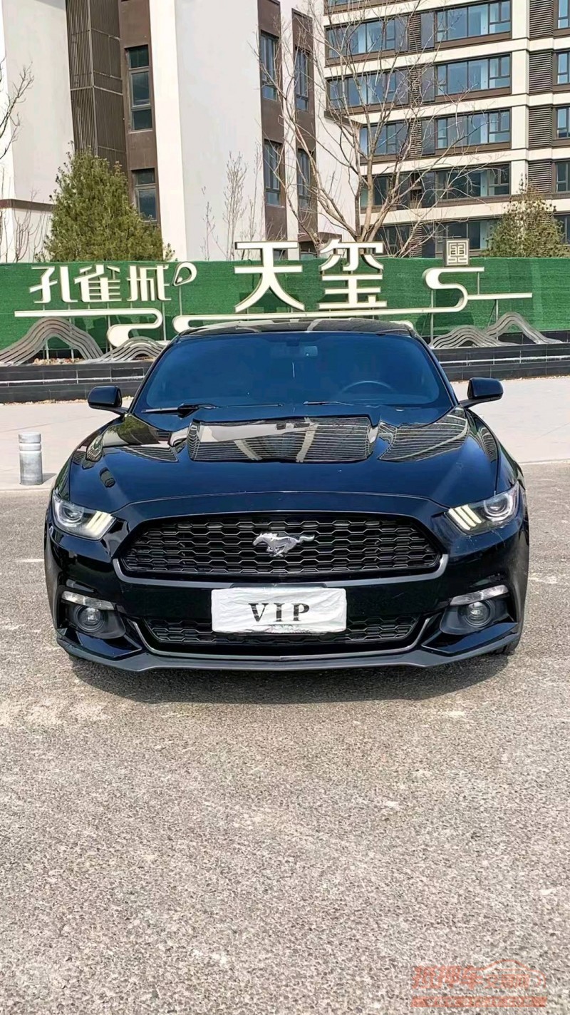 廊坊17年福特野马1