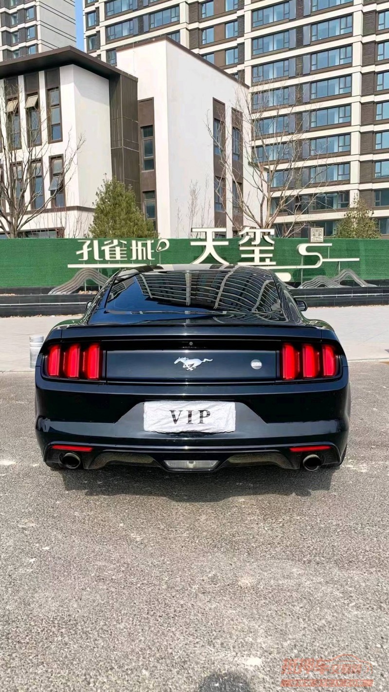 廊坊17年福特野马9