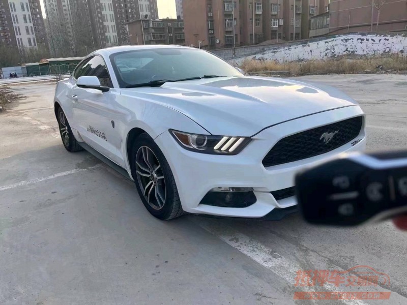 东营17年福特野马7