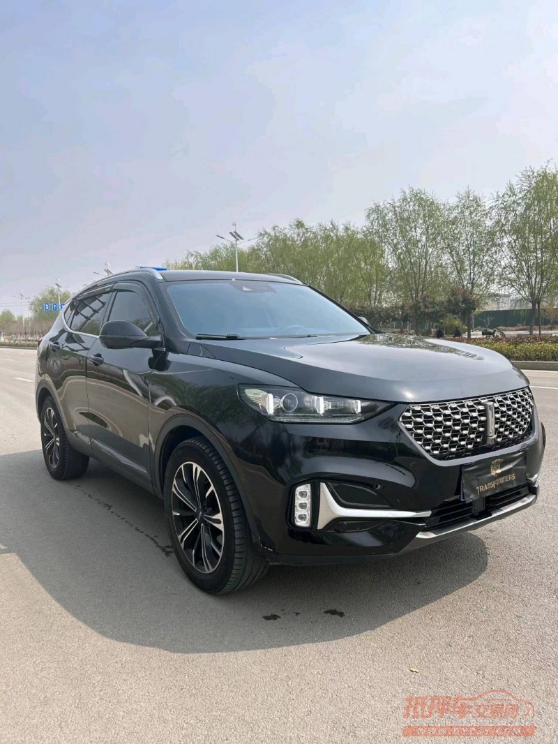 枣庄20年长城汽车WEY VV62