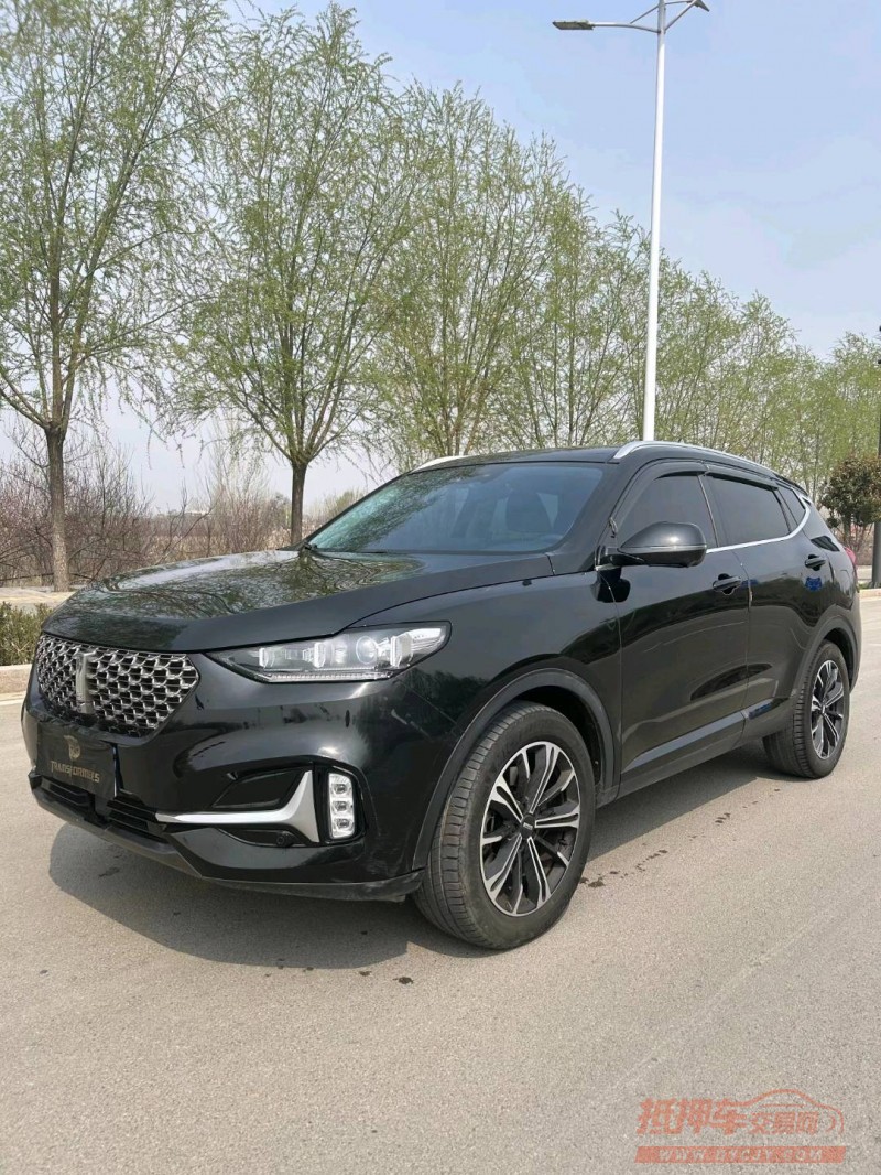 枣庄20年长城汽车WEY VV63