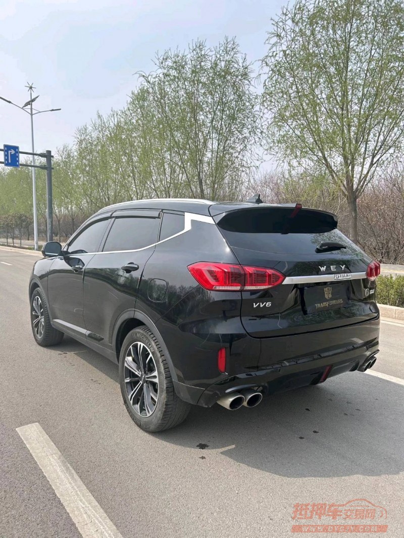 枣庄20年长城汽车WEY VV64